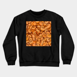 Pumpkin Explosion Crewneck Sweatshirt